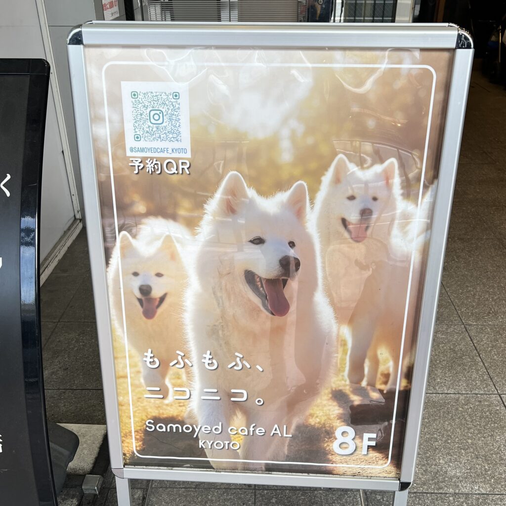 薩摩耶咖啡廳看板