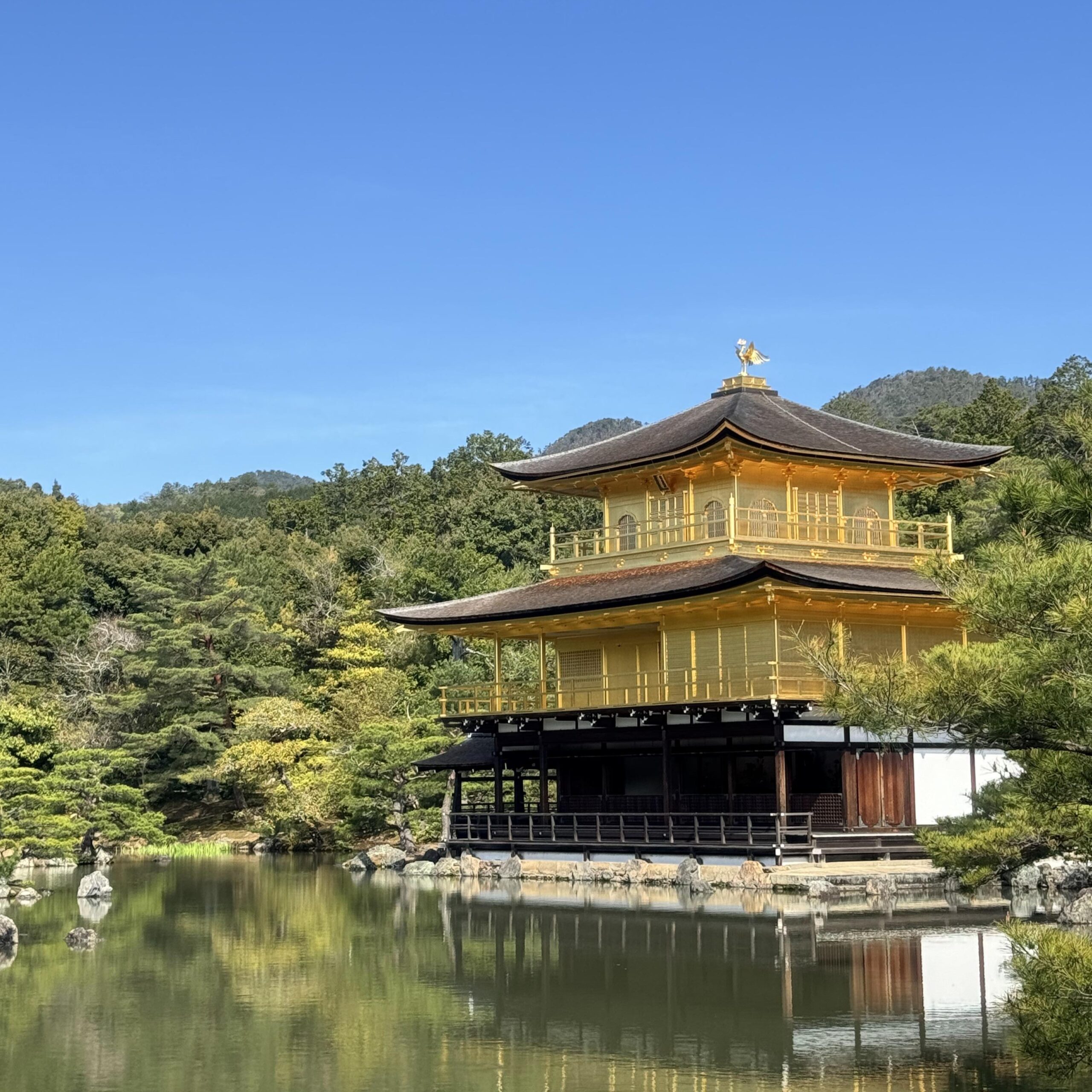 【京都】金閣寺：占地遼闊金碧輝煌的鹿苑寺